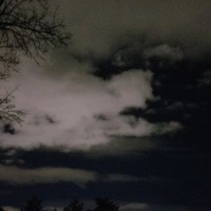 Meet your Posher, Ann